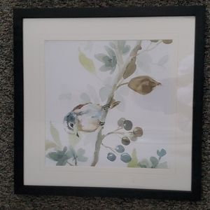 BEAUTIFUL MATCHING BIRD PICTURES.